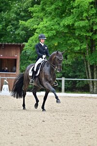 Lisa Müller dominierte die ersten beiden S***-Prüfungen beim Dressurturnier in Brunnthal. | © Dill