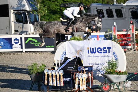 Siegreich im Bayernchampionat: Max Weishaupt und Illusion | © Puschak