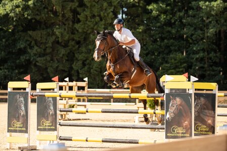 Nach zwei goldenen Schleifen aus den vorherigen Prüfungen machten Sven Fehnl und Q-Two TL das Wochenende perfekt mit einem Sieg im S*-Springen über 1,40 Meter. | © Nina Münch