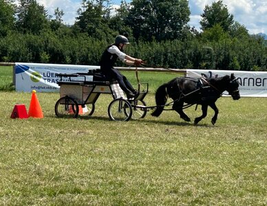 In Bad Feilnbach traten 30 Gespanne im Weissl Fahrsport Cup an. | © Presse