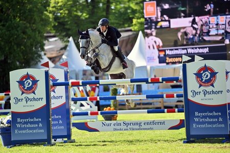 In ihrer kurzen gemeinsamen Zeit sind sie hocherfolgreich zusammengewachsen. So konnten Maximilian Weishaupt und Zuccero HV heute Abend bei der Global Champions Tour in Moncao im Grand Prix den vierten Platz erreiten. Bereits auf der Pferd International in München überzeugten sie, wie auf dem Archivbild zu sehen ist. | © Dill (Archiv)