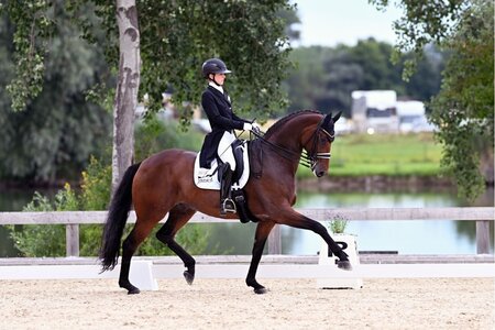 Lisa Müller und Gut Wettlkam's Dantiamo siegen im Grand Prix von Ingolstadt-Hagau. | © Dill