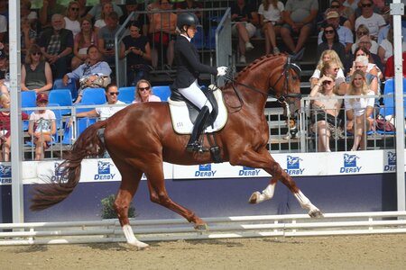 Im vergangenen Jahr zählte Valentin unter dem Sattel seiner Ausbilderin Johanna Wadenspanner beim Bundeschampionat zu den Finalisten. | © Bischoff 