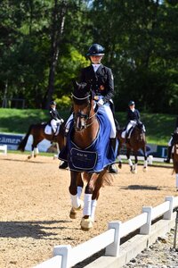 Nach der Kür war es soweit: Josephine Ruppert und DSP Bella Donna durften die Ehrenrunde anführen - und hatten damit den Meistertitel bei den Dressurreitern in der Altersklasse U21 sicher. | © Dill