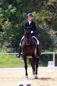 Robin Schmid und Fame hatte sich mit einem weiteren zweiten Platz in der Finalwertung den Meistertitel der Junioren II (U16) gesichert. | © Dill
