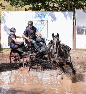 DIe Olympia-Reitanlage wird wieder zur Hochburg der Fahrer. | © Presse