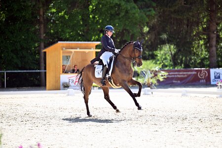 Aufgalopp zum S*-Sieg: Kerstin Kronaus und Fidelis | © Dill