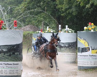 Nicht nur Nässe beim durchfahren des Wasserhindernisses - auch Regen von oben sorgte für schwierige Umstände. Dennoch konnte Anna Auberger mit Wanda zu Platz zwei des 2*-Marathons fahren. | © Herbert Rauser