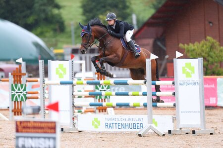 Julia Haarmann und Miss Cornet springen zum Sieg. | © Dill