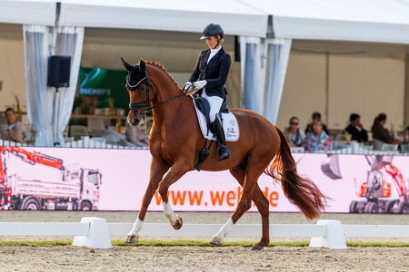 DSP Valentin und Johanna Wadenspanner haben einen tollen Start bei der WM der jungen Dressurpferde: Platz fünf in der ersten Qualifiaktionsprüfung der Fünfjährigen mit 86 Prozent. | © Lafrentz