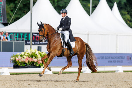 Franz Trischberger konnte mit Zewano OLD zu einem tollen zweiten Platz im kleinen Finale der Siebenjährigen reiten. | © Lafrentz