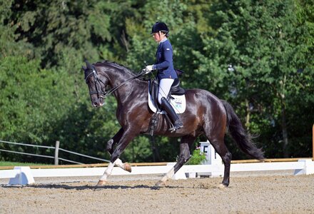 Aufgalopp zum ersten S-Sieg: Renate Voglsang und Gorgeous Boy | © Dill