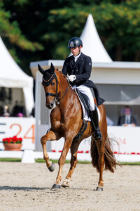 Franz Trischberger und Zewano OLD können als bestes deutsches Paar mit über 77 Prozent zu Platz sechs im Finale der Weltmeisterschaft bei den siebenjährigen Dressurpferden reiten. | © Lafrentz
