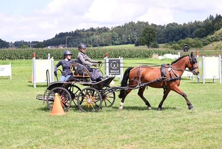 In Höselhurst wurde weiter im Weissl Fahrsportcup gekämpft. | © Privat