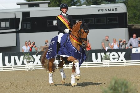 Bundeschampion - Wer schnappt sich in diesem Jahr die begehrten Champion-Schärpen? 2024 trabte Goldschatz unter Michele Schulmerig zum Titel der dreijährigen Reitponys (Stuten und Wallache).  | © Bischoff  (Archiv)