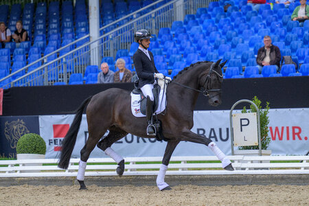 Adrian Munoz Jurado trabte mit Giroud direkt ins Finale der fünfjährigen Dressurpferde. | © Equitaris