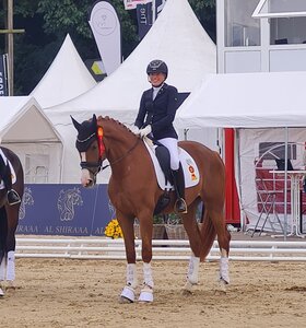 Ramona Ritzel zieht bei den Bundeschampionaten mit Best Secret ins Finale der dreijährigen Stuten und Wallache ein. | © privat