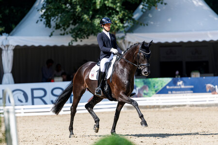 Adrian Munoz Jurado und Grioud platzierten sich im Finale der fünfjährigen Dressurpferde. | © Lafrentz