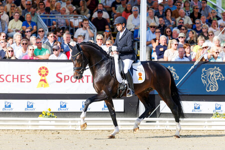 Uwe Schwanz und Datejust begeisterten im Finale der vierjährigen Hengste. | © Lafrentz