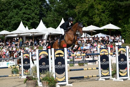 Stark im Parcours: Hans Günther Blum und Tip Top van de Zuuthoeve | © Puschak