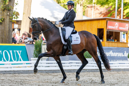 Der DSP-Bayer Secret of Bavaria trabte im Finale der sechsjährigen Dressurpferde unter dem Sattel von Ann-Christin Wienkamp unter die Top10. | © Lafrentz