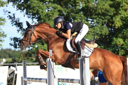 Stilsicher springen Anja Steindl und Kalani J zum Sieg. | © Dill
