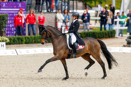 Jessica Neuhauser trabte mit Rockson zum Titel bei den Schweizer Meisterschaften. | © Lafrentz Jessica Neuhauser trabte mit Rockson zum Titel bei den Schweizer Meisterschaften. | © Lafrentz