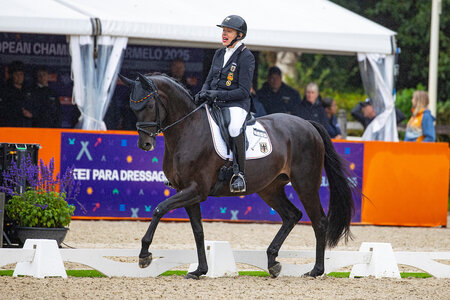 Dem deutschen Para-Dressurteam gelang bei den Europameisterschaften vor wenigen Wochen eine historische Leistung - Mannschaftsgold und mehrere Goldmedaillen in der Einzelwertung. | © Lafrentz Dem deutschen Para-Dressurteam gelang bei den Europameisterschaften vor wenigen Wochen eine historische Leistung - Mannschaftsgold und mehrere Goldmedaillen in der Einzelwertung. | © Lafrentz