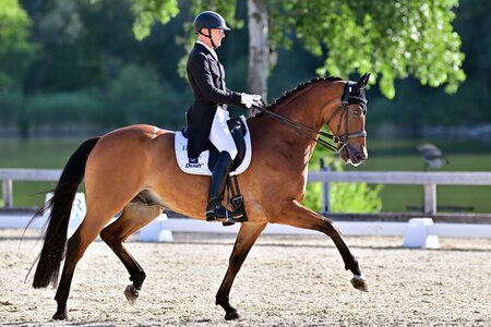 Siegreich: Ralf Kornprobst und Iago | © Dill Siegreich: Ralf Kornprobst und Iago | © Dill