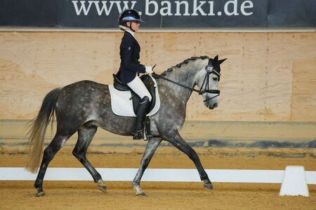 Mia Wagener ist für das Bundesnachwuchschampionat Pony nominiert. | © Dill Mia Wagener ist für das Bundesnachwuchschampionat Pony nominiert. | © Dill