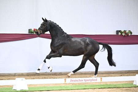 Vorauswahl Marbach  | © Hubert Fischer