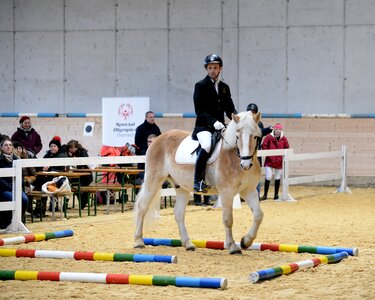 Erneut fand ein erfolgreicher Aktionstag für Integratives Reiten statt.  | © Brunner
