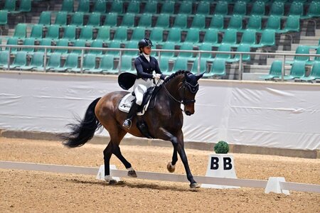 Traumwochenende für Nicole Grosch und Visser's Hit Valeria VEC OLD | © Dill (Archiv)