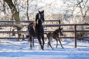 Symbolfoto. | © Lafrentz