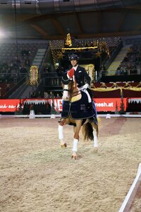 Benjamin Werndl und Quick Decision führen auch den Grand Prix Special von Salzburg an. | © Dill