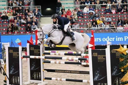 Hoch hinaus: Max Weishaupt und DSP Omerta Incipit brillierten in Salzburg. | © Dill