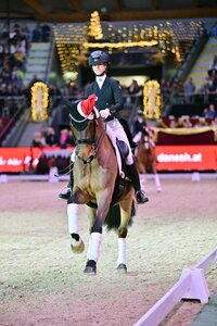 Ein letztes Mal bei den U25-Reitern: Die Amadeus Horse Indoors in Salzburg waren für Selina Söder etwas ganz Besonderes. | © Dill