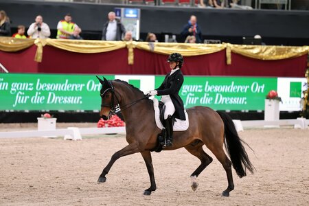 Beeindruckende Vorstellung: Jessica Neuhauser und Rockson | © Dill