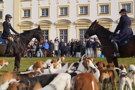 Herrliche Kulisse: Abschluss der Jagdsaison vor Schloss Schleißheim  | © Privat
