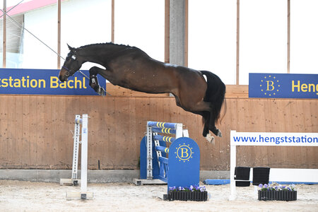 2024 siegte Emma vom Immhoff v. Cornet Obolensky  | © Hubert Fischer