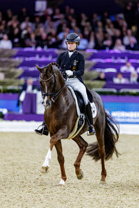 Viva Gold OLD und Isabell Werth siegten in der Einlaufprüfung zum Louisdor Preis Finale. | © Lafrentz