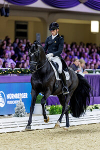 Justin Verboomen und Zonik Plus siegen im Grand Prix von Frankfurt. | © Lafrentz