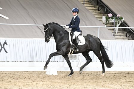 Grey Tonic v. Grey Flanell | © Beelitz