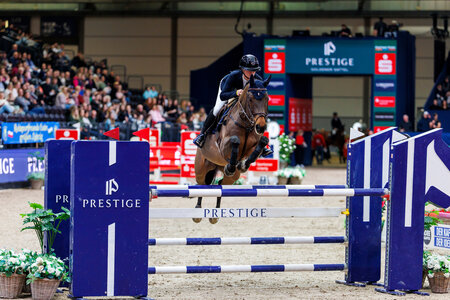 Emma Bachl startete mit ihrem Yoshimi im Prestige "Goldener Sattel" 2026 und sicherte insgesamt den zweiten Platz. | © Lafrentz