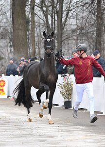 Auf dem Pflaster bei eisigen Temperaturen | © Hubert Fischer