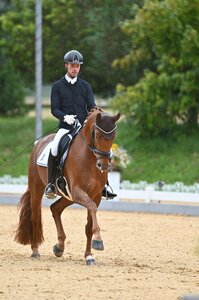 Wird kommissarisch Delegierter der BBR: Dennis Meschke | © Stolz