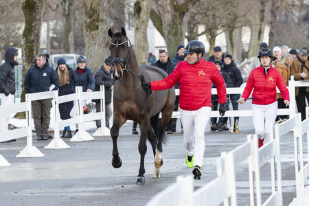 AWÖ-Körung gestartet | © Hans Kraus