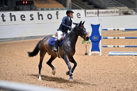 Mandy Beger mit Amarone auf dem Weg zum Sieg in Kreuth | © Dill