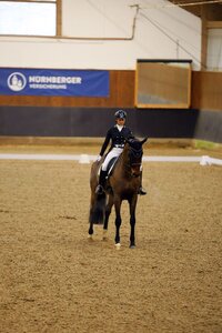 Nicole Grosch feierte im Sattel von Visser's Hit Valeria OLD einen überlegenen Sieg. | © Dill