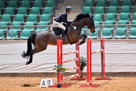 Top im Springparcours: Selina Höger und Knight Rider | © Dill